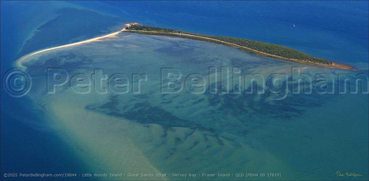 Peter Bellingham Photography Little Woody Island - Great Sandy Strait - Hervey Bay - Fraser Island - QLD (PBH4 00 17819)